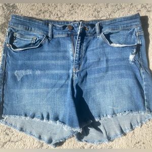 Judy Blue Distressed Denim Shorts 2XL